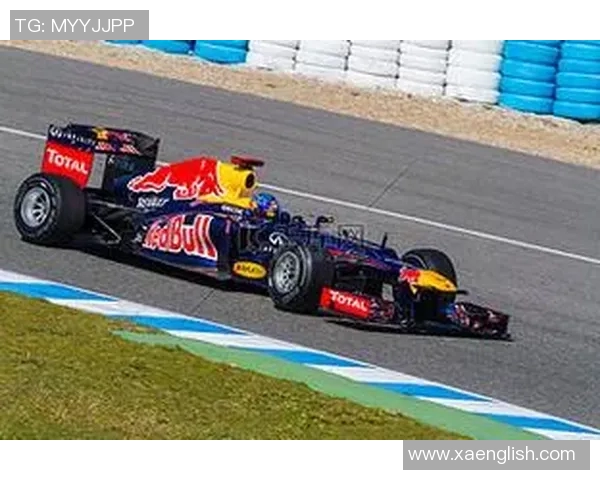 塞巴斯蒂安维特尔：从赛车天才到传奇车手的辉煌历程与未来展望